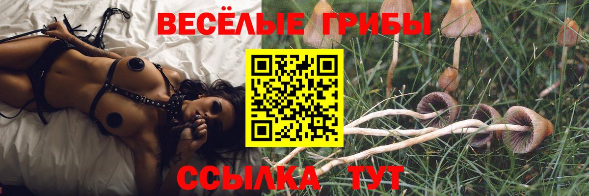 Мелеуз  Alpha-PVP СОЛЬ   Каннабис  NBOMe  Вход с VPN  Cocaine  Мефедрон   ГАШ 