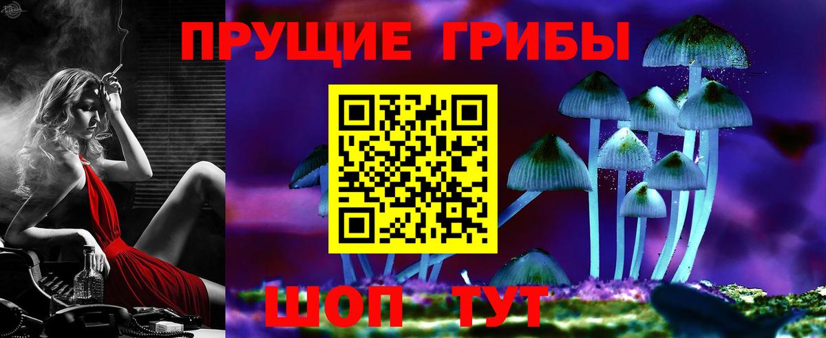 Псилоцибиновые грибы Psilocybine cubensis Мелеуз